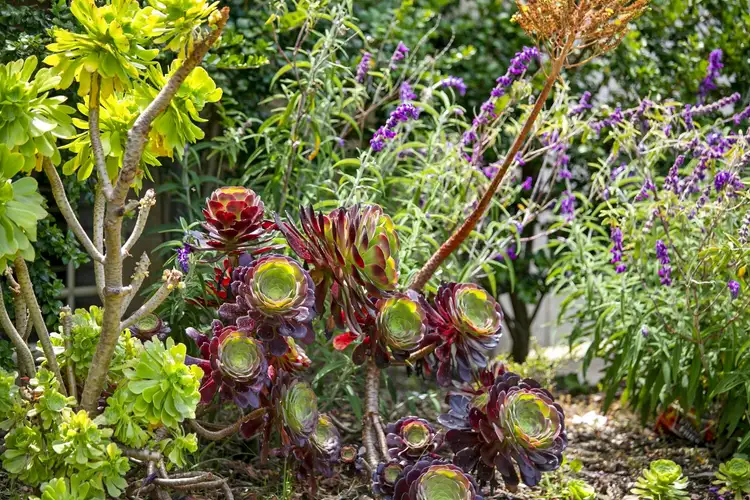 Sixth view of Homely house listing, 1 Ashcombe Lane, Ocean Grove VIC 3226