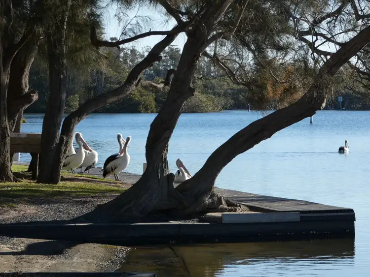 Fourth view of Homely unit listing, 7/5 Baird Street, Tuncurry NSW 2428