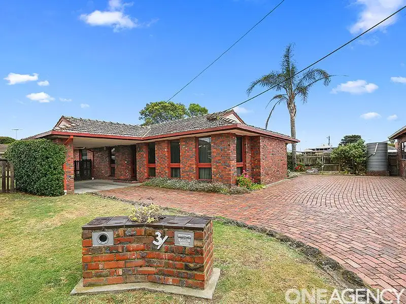 Main view of Homely house listing, 3 Pandora Court, Whittington VIC 3219