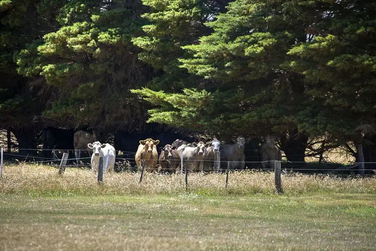 Third view of Homely rural property listing, 1701 Barwon Heads Road, Barwon Heads VIC 3227