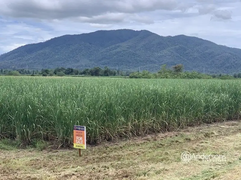 Main view of Homely land listing, Lot 155 Midgenoo Feluga Road, Feluga QLD 4854