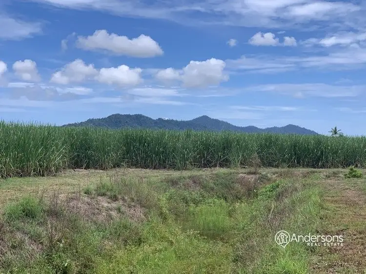 Fourth view of Homely land listing, Lot 155 Midgenoo Feluga Road, Feluga QLD 4854