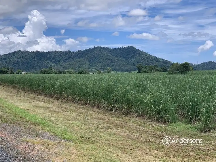 Fifth view of Homely land listing, Lot 155 Midgenoo Feluga Road, Feluga QLD 4854
