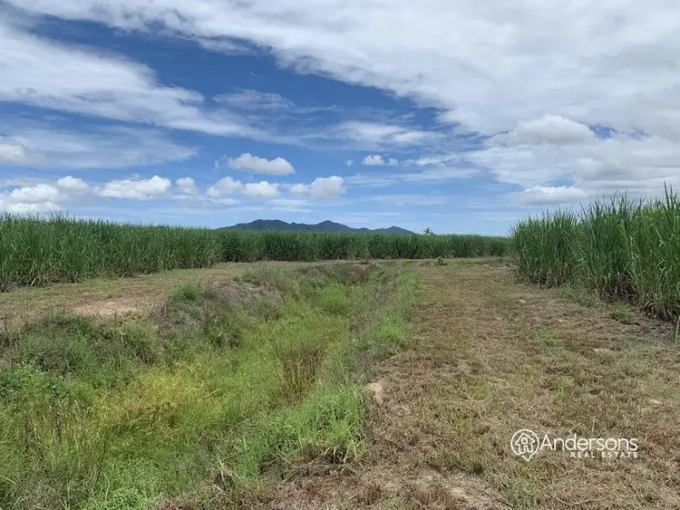 Sixth view of Homely land listing, Lot 155 Midgenoo Feluga Road, Feluga QLD 4854