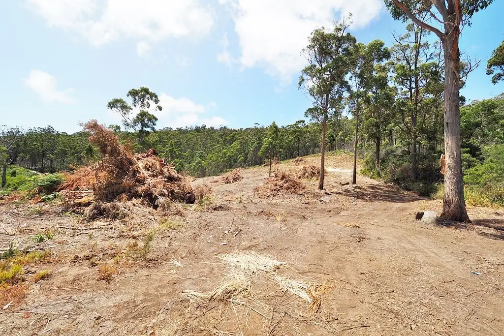 Main view of Homely land listing, 19 Forest Heights Drive, Tugrah TAS 7310