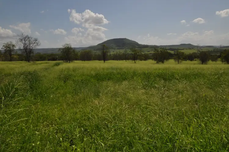Third view of Homely rural property listing, 905 Gatton Clifton Road, Ma Ma Creek QLD 4347