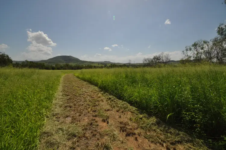 Sixth view of Homely rural property listing, 905 Gatton Clifton Road, Ma Ma Creek QLD 4347