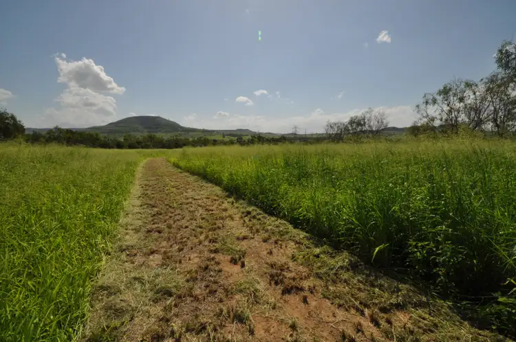 Seventh view of Homely rural property listing, 905 Gatton Clifton Road, Ma Ma Creek QLD 4347