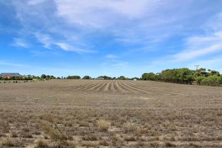 Main view of Homely land listing, 41-43 Old Swanport Road, Murray Bridge SA 5253