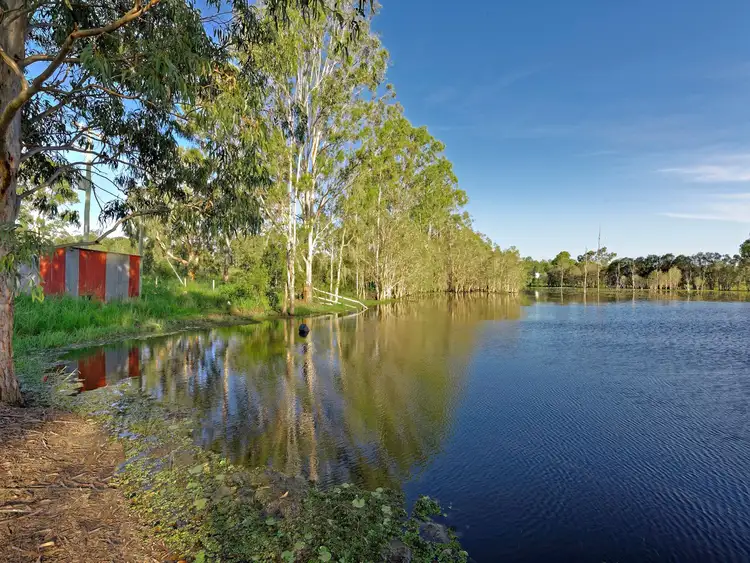 Third view of Homely rural property listing, 411 Reads Road, Bucca QLD 4670