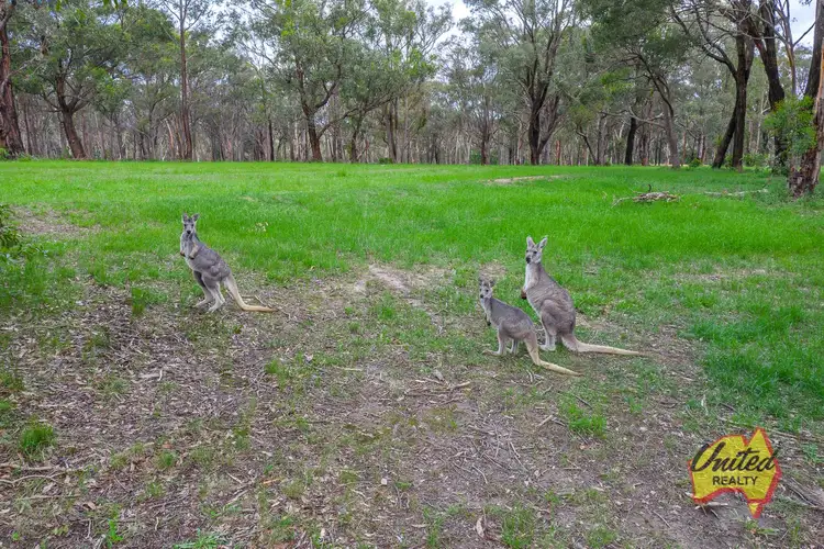 Sixth view of Homely land listing, 7 Minerva Road, Wedderburn NSW 2560