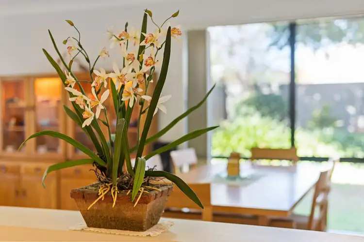 Fourth view of Homely house listing, 1 Kalbarri Court, North Lakes QLD 4509