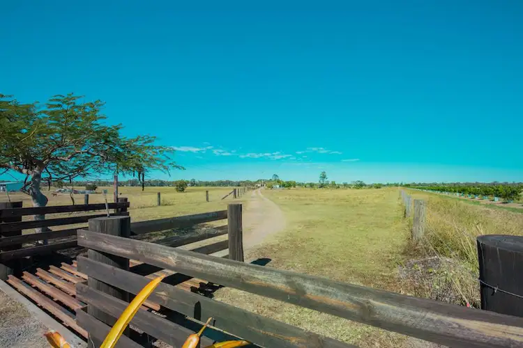 Fourth view of Homely rural property listing, 232 Sharon Road, Sharon QLD 4670
