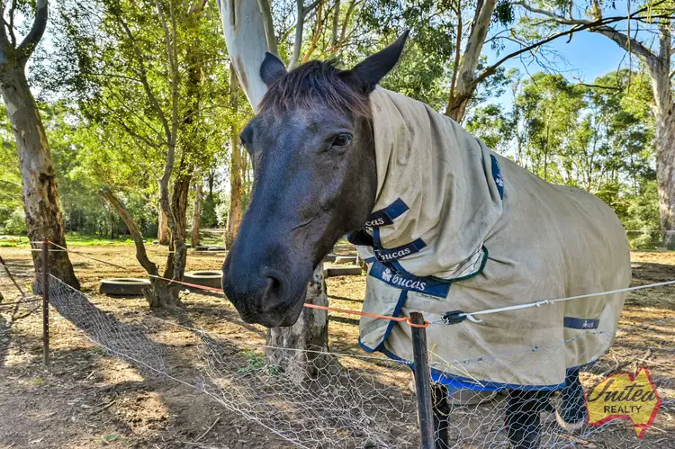 Fourth view of Homely rural property listing, Address available on request