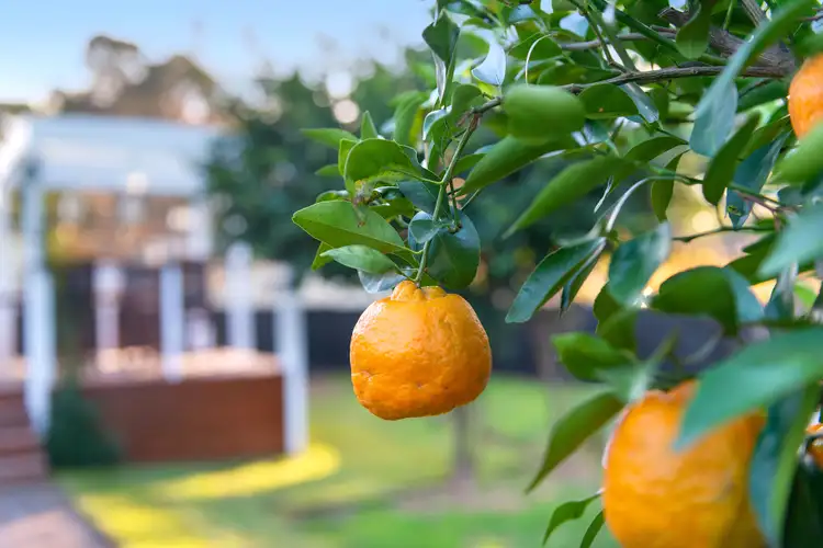 Fifth view of Homely house listing, 42 Holborrow Avenue, Richmond NSW 2753