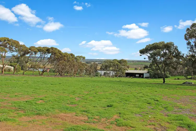 27 Thiele Road, Murray Bridge SA 5253