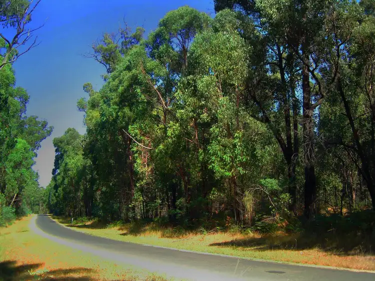 Seventh view of Homely land listing, 340 Trentham-Spring Hill Road, Spring Hill VIC 3444