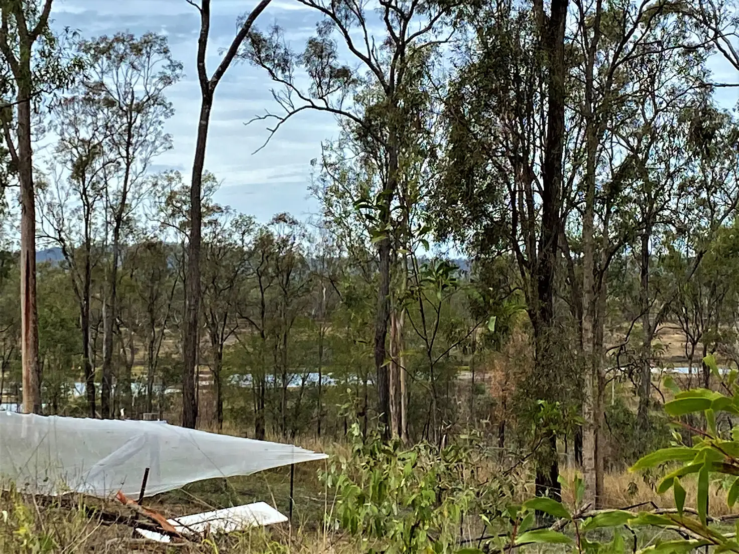Main view of Homely land listing, 4 Point Piper Close, Laidley Heights QLD 4341