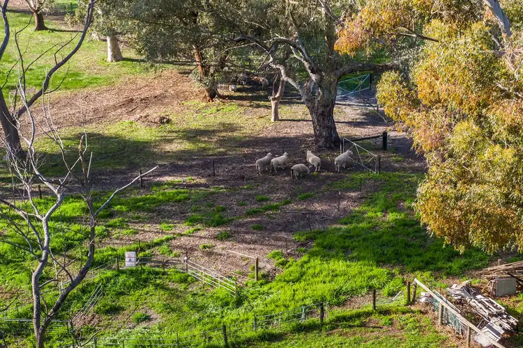 Sixth view of Homely rural property listing, 222 Utley Road, Serpentine WA 6125