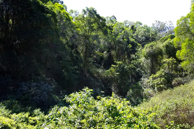 Fifth view of Homely land listing, 31A Dean Drive, Ocean View QLD 4521