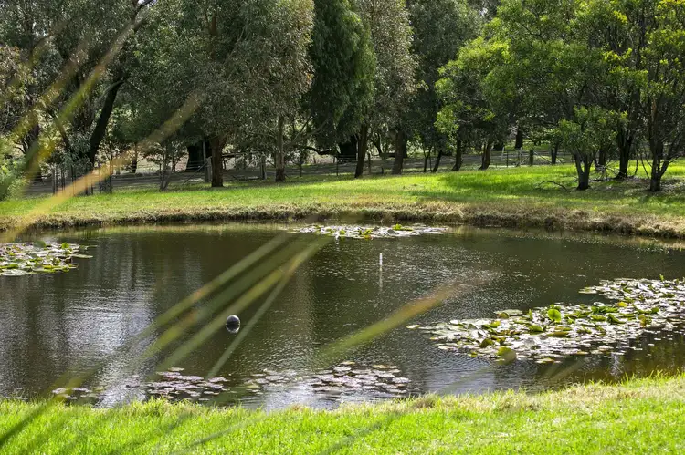 Fourth view of Homely rural property listing, 114 Rhinds Rd, Wallington VIC 3222