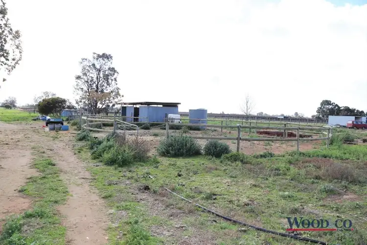 Second view of Homely rural property listing, 132 Nyah West Rd, Nyah West VIC 3595