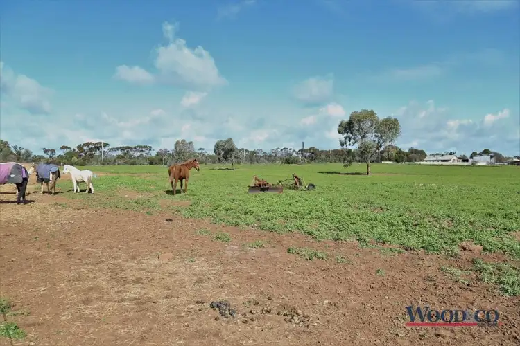 Fourth view of Homely rural property listing, 132 Nyah West Rd, Nyah West VIC 3595