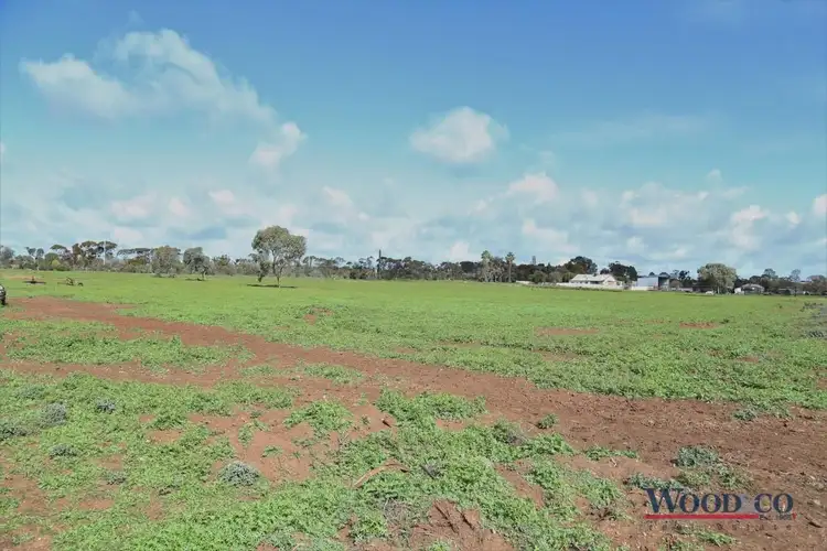 Fifth view of Homely rural property listing, 132 Nyah West Rd, Nyah West VIC 3595