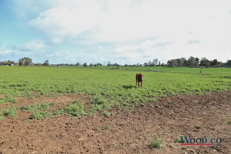 Seventh view of Homely rural property listing, 132 Nyah West Rd, Nyah West VIC 3595