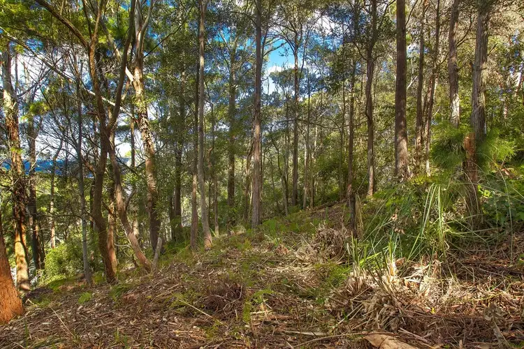 Fourth view of Homely land listing, 4 Surf Rider Avenue, North Avoca NSW 2260