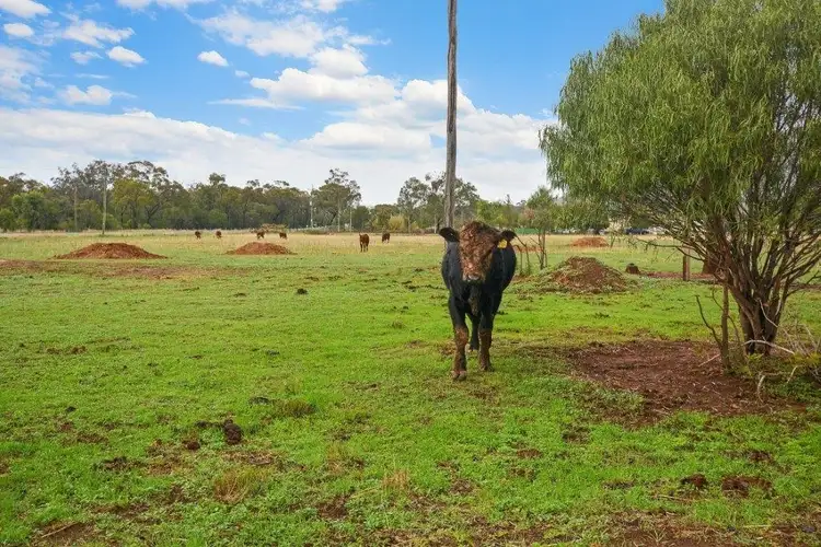 Seventh view of Homely house listing, 474 Blackjack Road, Gunnedah NSW 2380