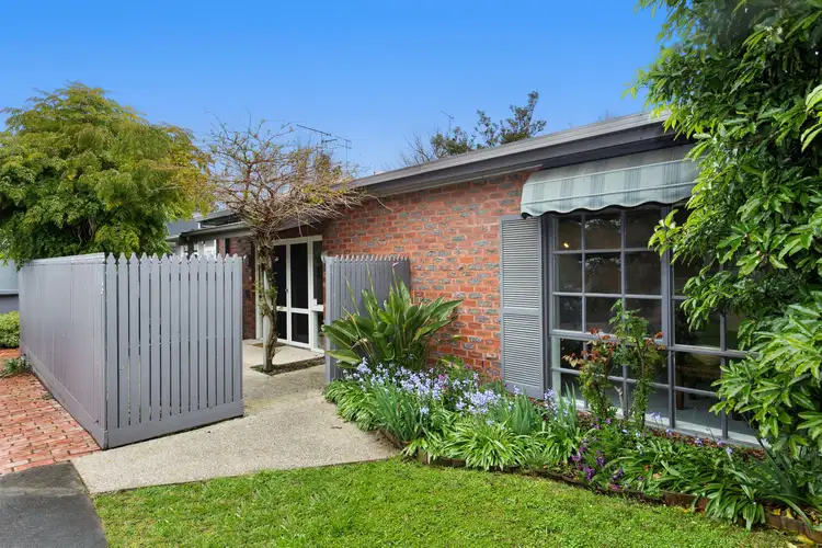 3/25 Wallington Road, Ocean Grove VIC 3226
