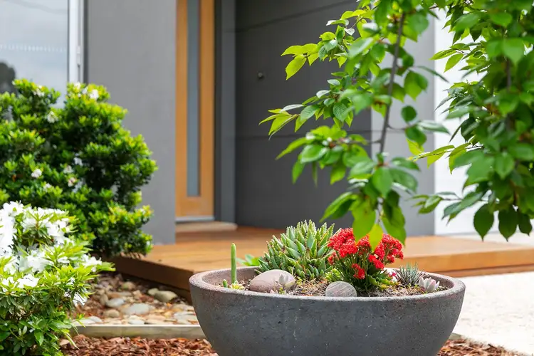 Third view of Homely townhouse listing, 8A Callistemon Court, Ocean Grove VIC 3226