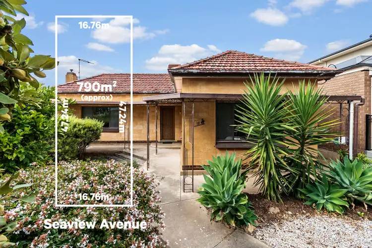 12 Seaview Avenue, Kingston Park SA 5049