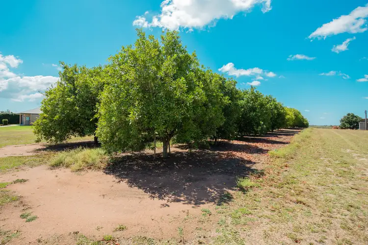 Fifth view of Homely land listing, Lot 3 John Moffat Road, Gooburrum QLD 4670