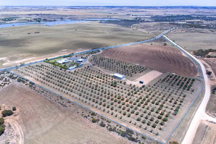 Second view of Homely house listing, 472 Belvedere Road, Mannum SA 5238