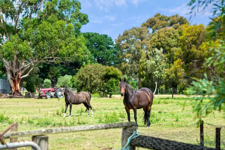 Third view of Homely rural property listing, 40 Malpas Drive, Wallington VIC 3222