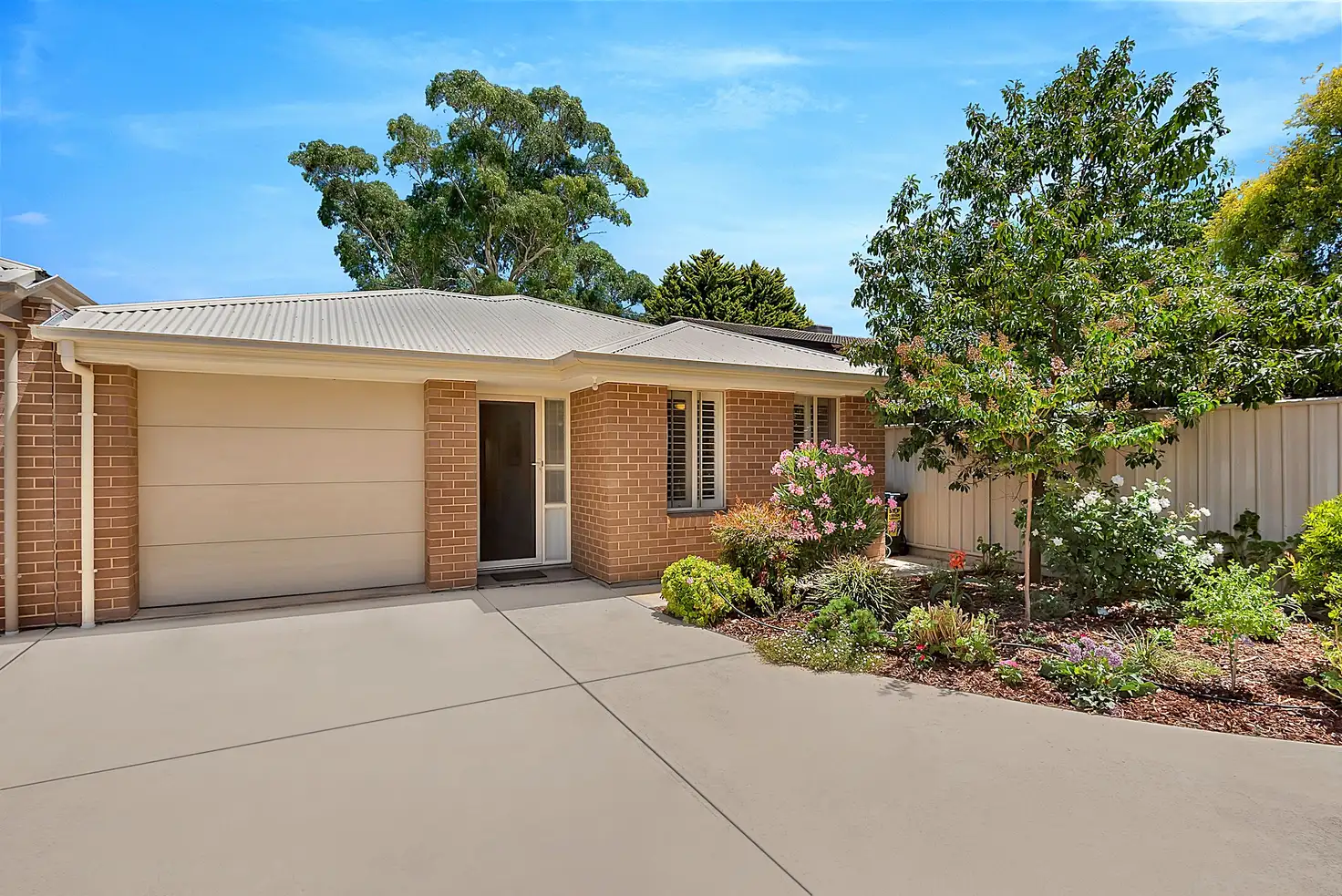 Main view of Homely house listing, 19A Thistle Avenue, Klemzig SA 5087