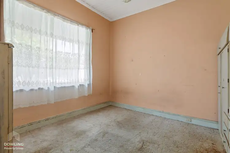 Fifth view of Homely house listing, 25 Norfolk Avenue, Islington NSW 2296