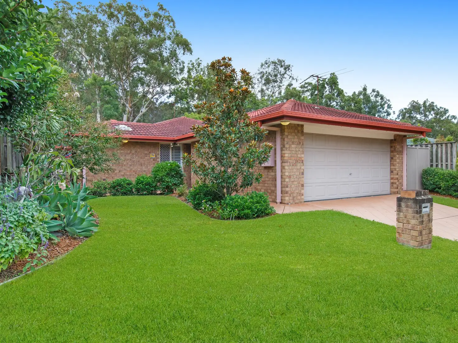 Main view of Homely house listing, 20 Alpine Place, Belmont QLD 4153