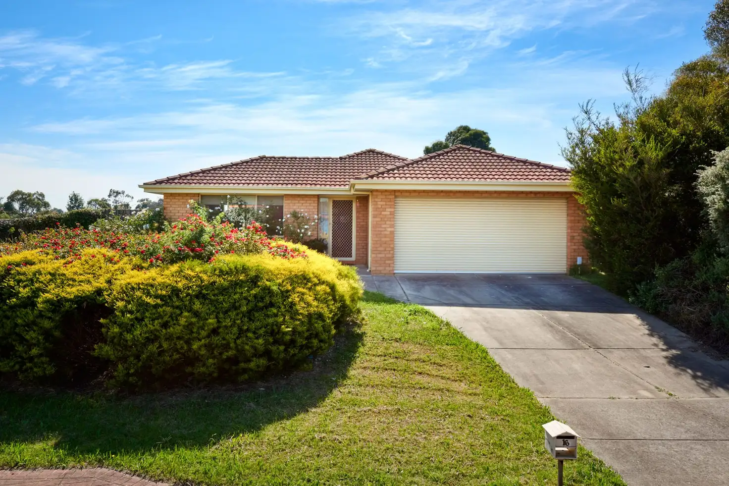 Main view of Homely house listing, 16 Cashel Crt, Berwick VIC 3806
