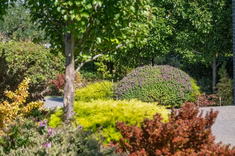 Fifth view of Homely land listing, 24 Holyhead Street, Ocean Grove VIC 3226