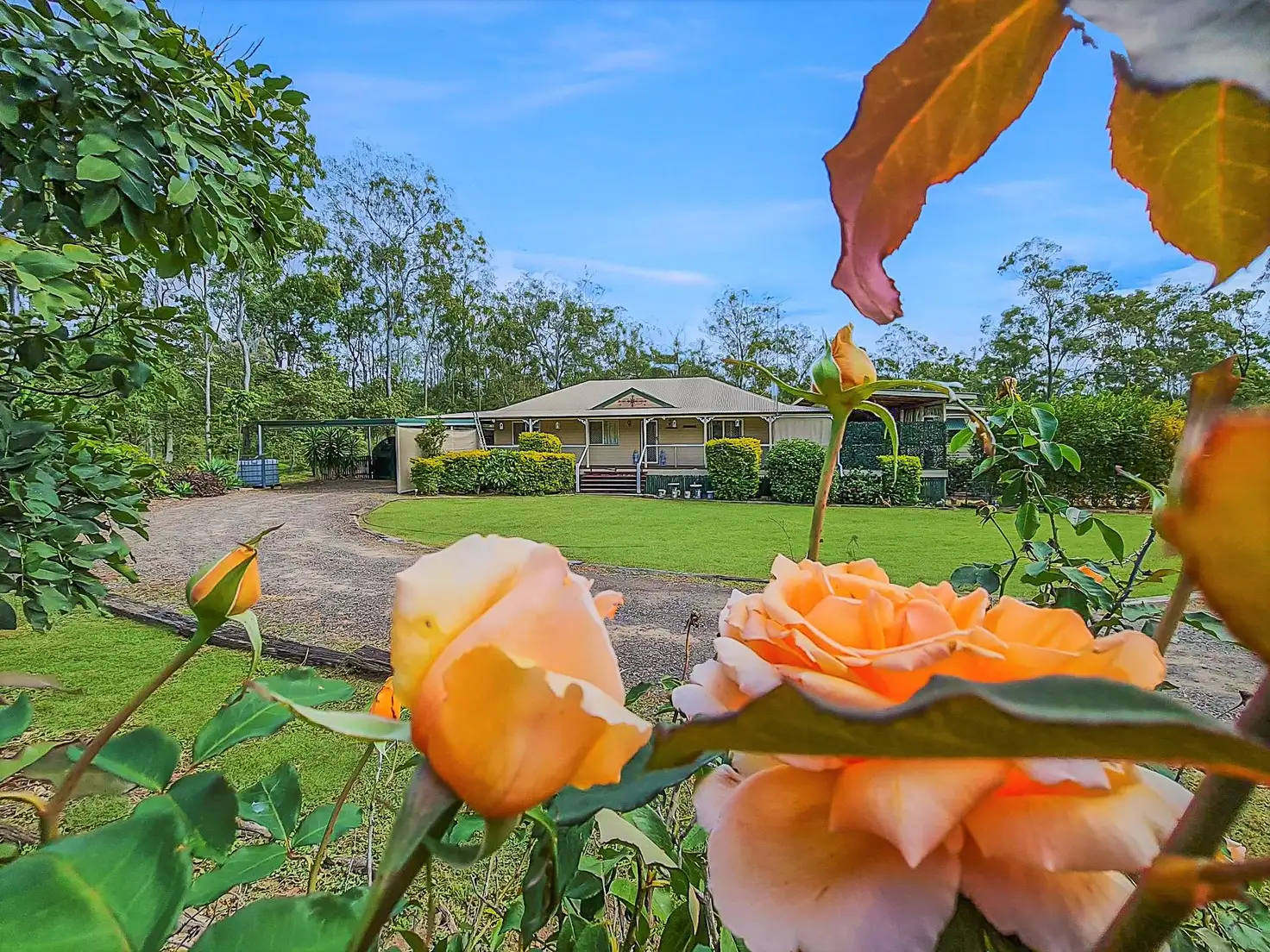 Main view of Homely house listing, 6 Teak Street, Brightview QLD 4311