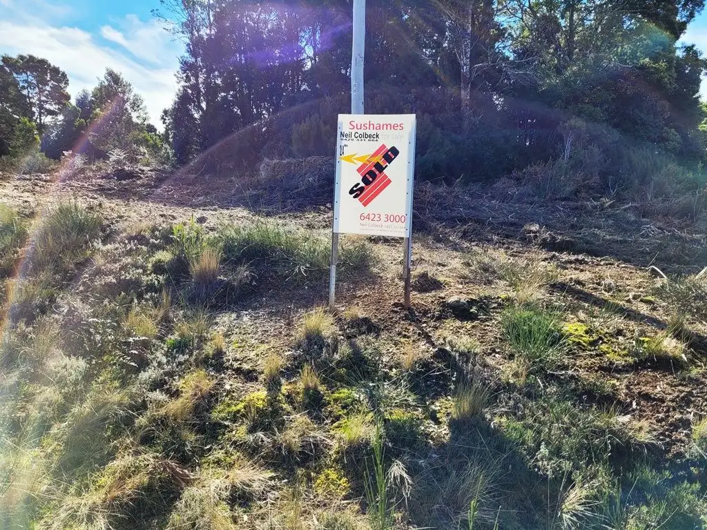 Main view of Homely land listing, 556 Waratah Road, Waratah TAS 7321