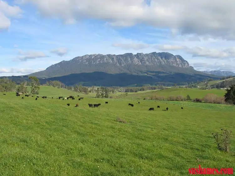 Sixth view of Homely rural property listing, Address available on request