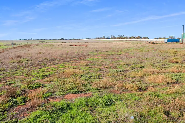 Second view of Homely land listing, 2841 Randell Road, Mannum SA 5238