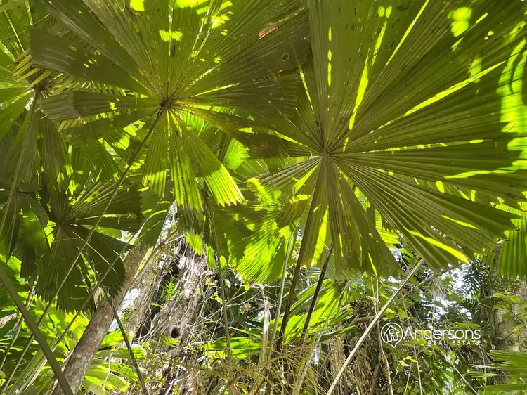 Second view of Homely land listing, Lot 20 Coolibah Street, Wongaling Beach QLD 4852