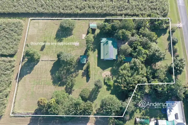 Fourth view of Homely house listing, 166 East Feluga Road, East Feluga QLD 4854