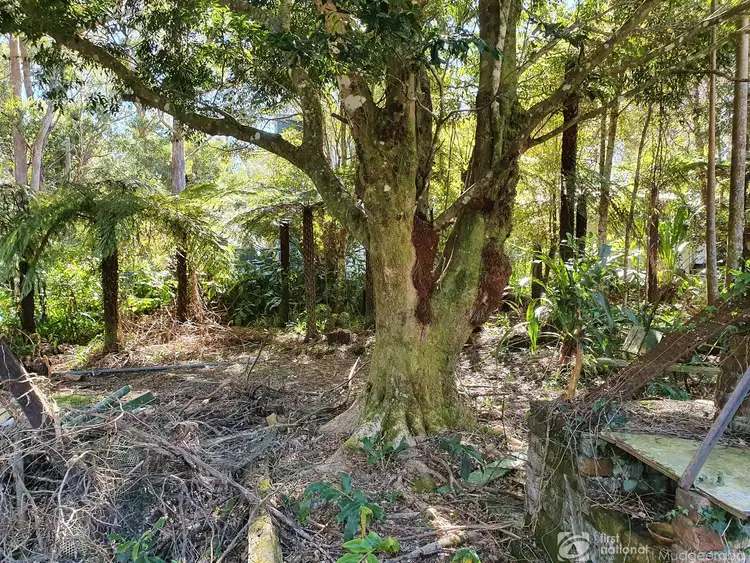 Fifth view of Homely land listing, 24 Canyon Parade, Springbrook QLD 4213