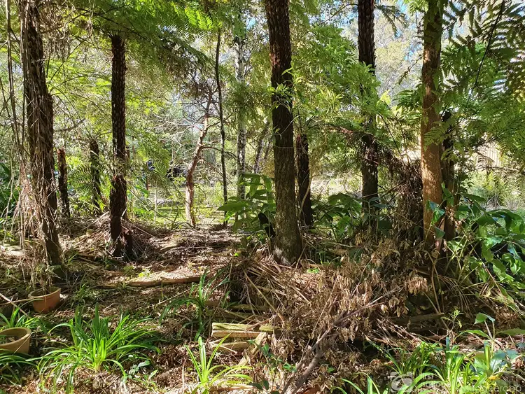 Sixth view of Homely land listing, 24 Canyon Parade, Springbrook QLD 4213